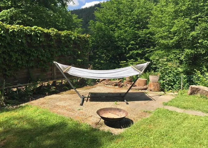 Bussard Casa vacanze Gammelsbach